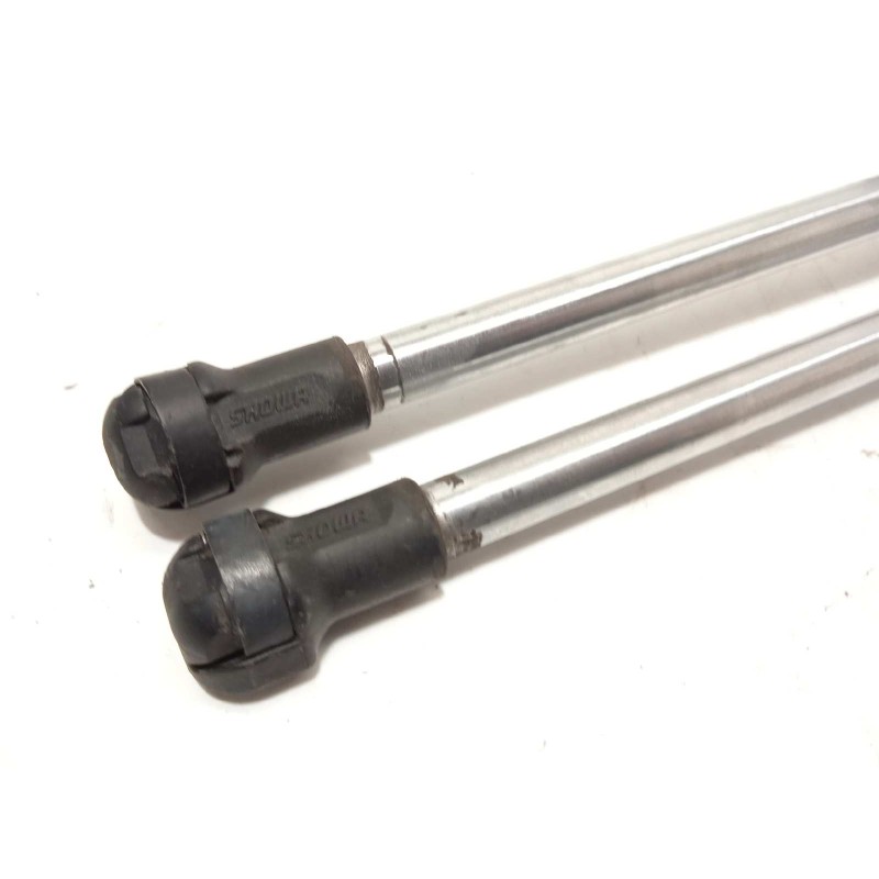 Recambio de amortiguadores maletero / porton para mazda cx-7 (er) active referencia OEM IAM EG2162620C  