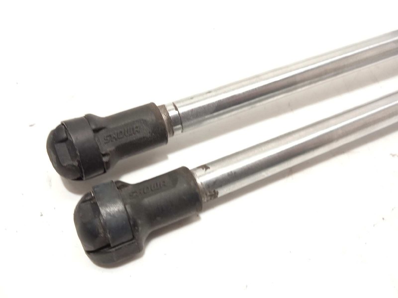 Recambio de amortiguadores maletero / porton para mazda cx-7 (er) active referencia OEM IAM EG2162620C  