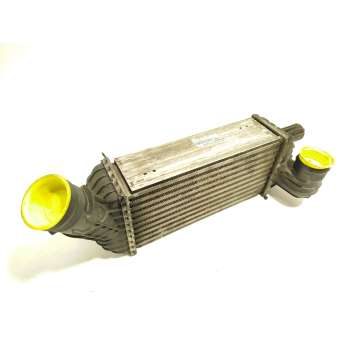 INTERCOOLER 9673015780 0384P3 R1402004