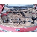 KIA RIO IV (YB, SC, FB)