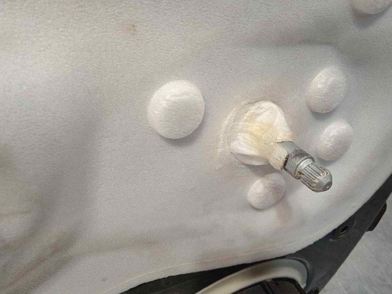 Recambio de puerta trasera izquierda para citroën c4 lim. live edition referencia OEM IAM 9006R9  