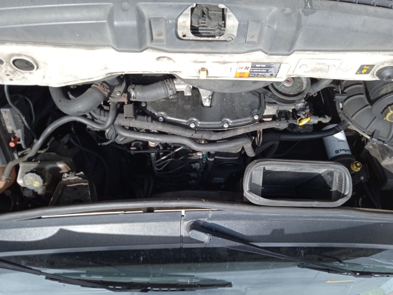 ford transit autobús (fd_ _, fb_ _, fs_ _, fz_ _, fc_ _) del año 2008