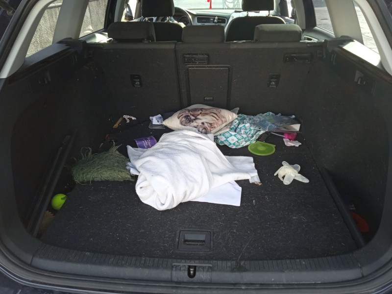 volkswagen golf vii variant (ba5, bv5) del año 2015