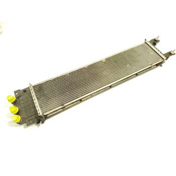 RADIADOR AGUA E1G38D048AC 1887970 