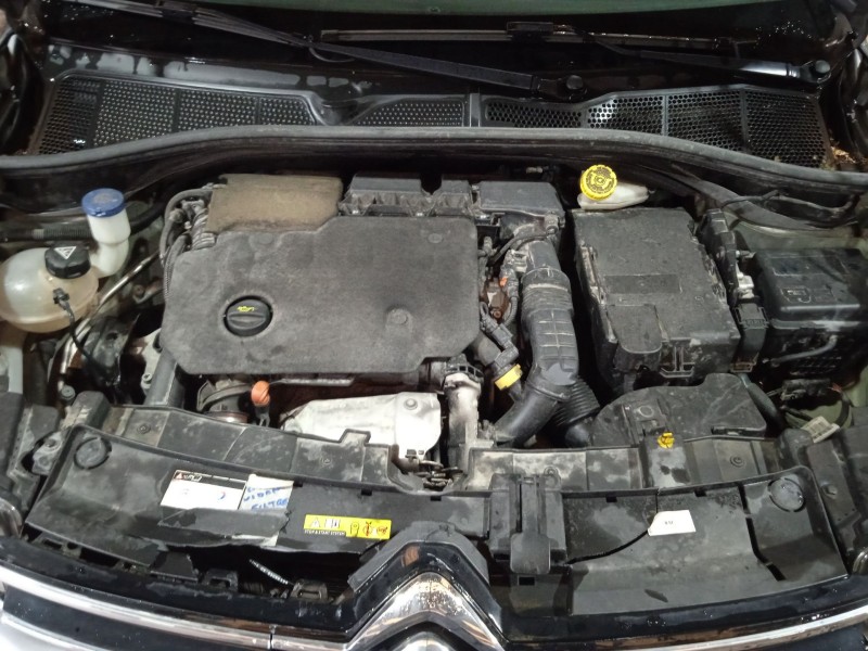 citroën c4 cactus del año 2019