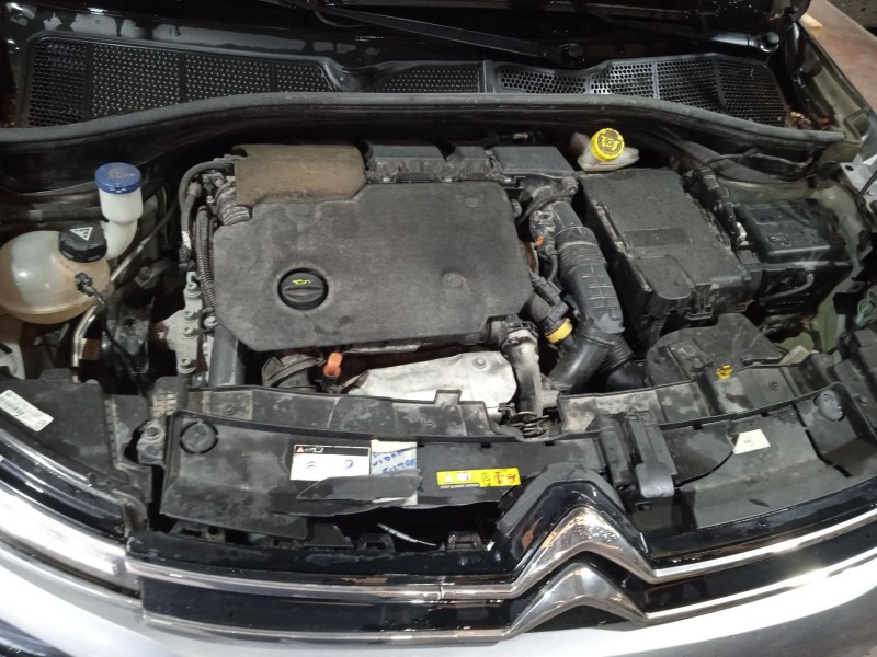 citroën c4 cactus del año 2019