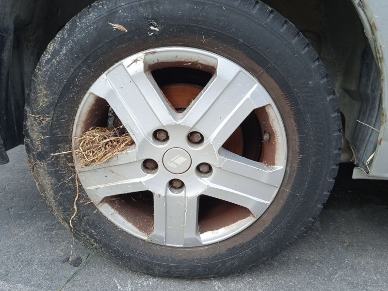 opel vivaro a autobús (x83) del año 2003