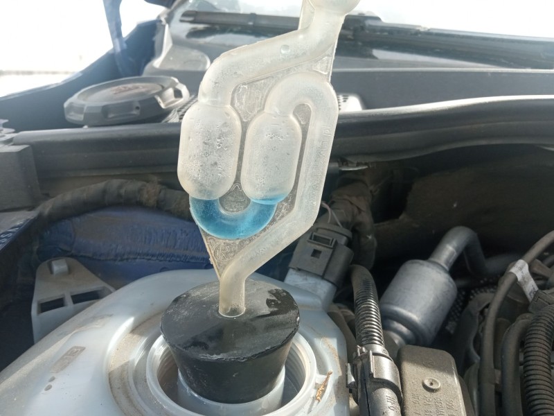 seat arona (kj7, kjp) del año 2019