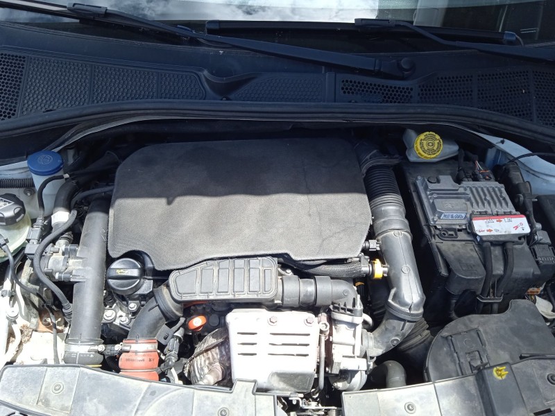 citroën c4 cactus del año 2016