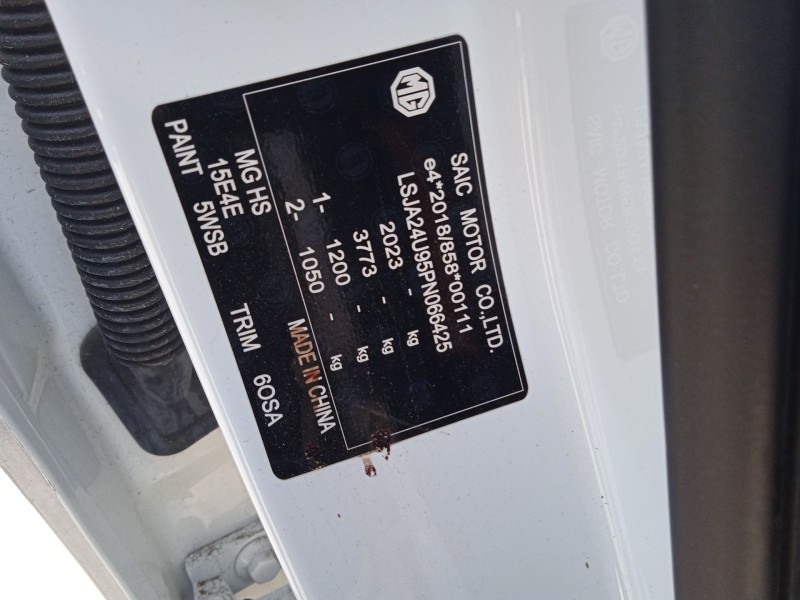 mg mg hs del año 2023