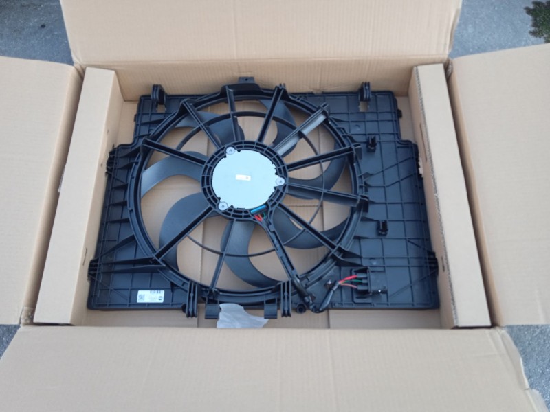 mg mg hs del año 2023