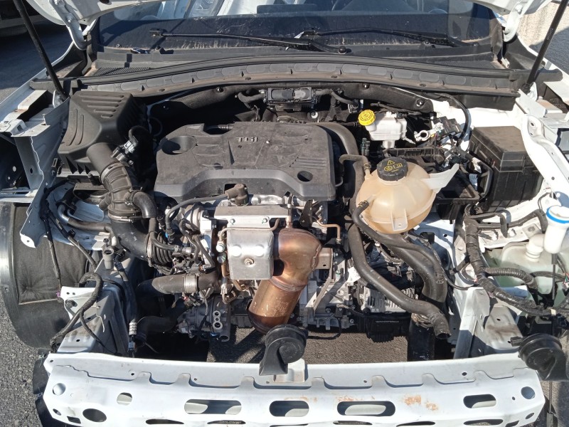 mg mg hs del año 2023