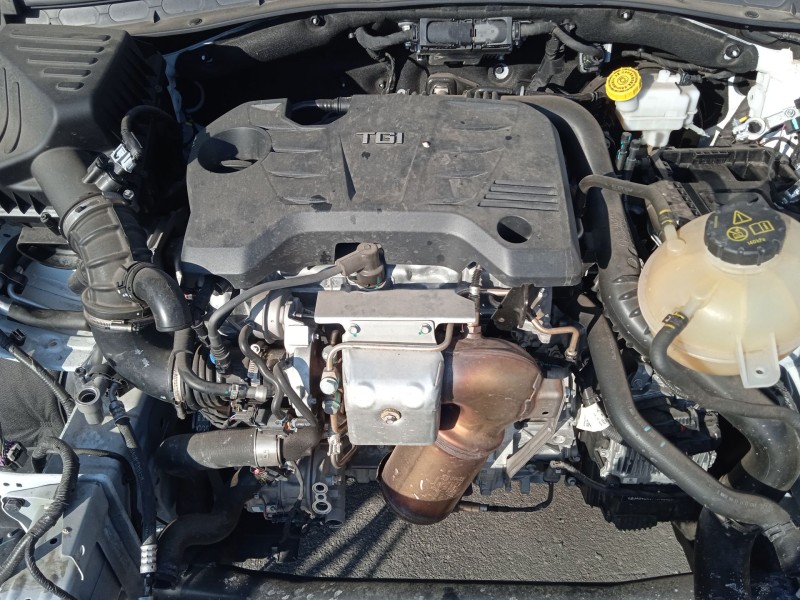 mg mg hs del año 2023