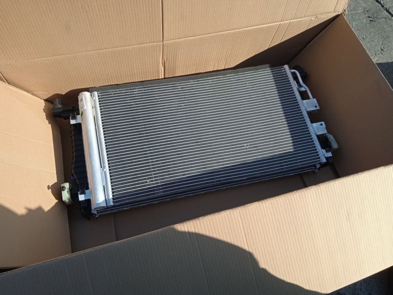 mg mg hs del año 2023