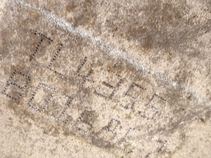 Recambio de caja cambios para dacia duster (hm_) 1.3 tce 130 (hmmf) referencia OEM IAM TL4355 320108263R 