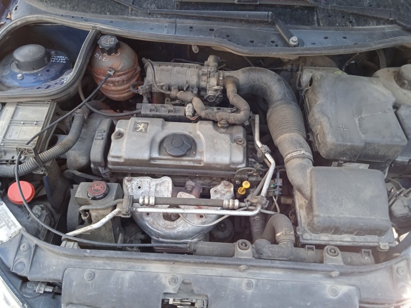 peugeot 206 hatchback (2a/c) del año 2004