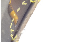 Recambio de aleta delantera derecha para peugeot 807 (eb_) 2.0 hdi referencia OEM IAM 7841P0   2