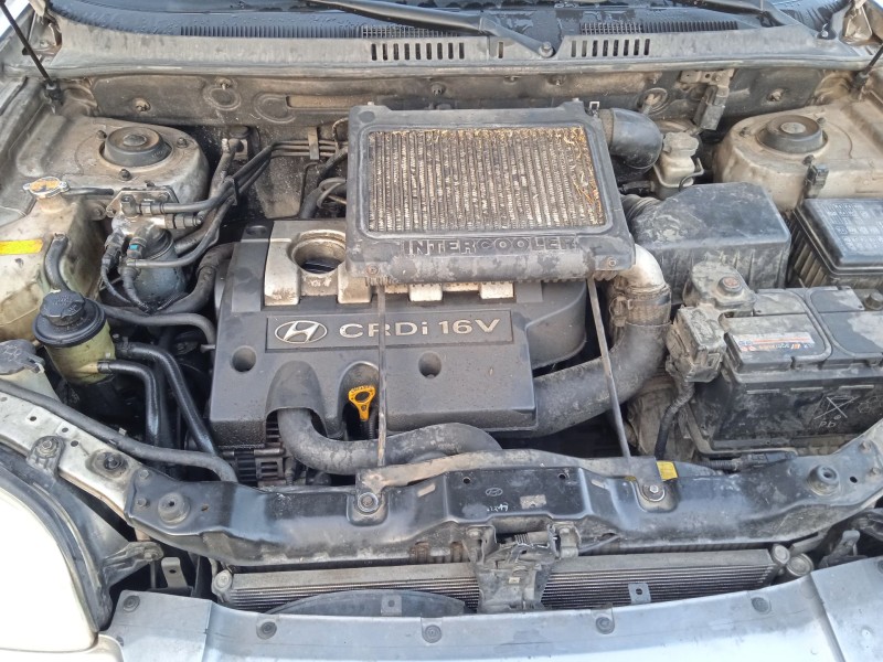 hyundai santa fé i (sm) del año 2003