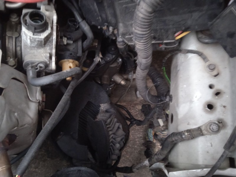 ford focus iv (hn) del año 2017