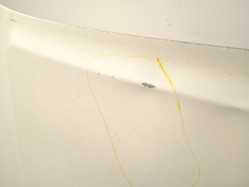 Recambio de capot para nissan pathfinder (r51) 2.5 dci diesel cat referencia OEM IAM 65100EB330 F5100EB3MA 