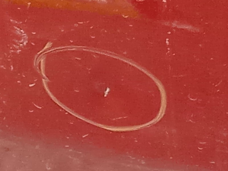 Recambio de puerta delantera derecha para bmw 3 gran turismo (f34) 318 d referencia OEM IAM 41515A43C94  