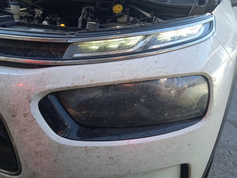 citroën c4 cactus del año 2019