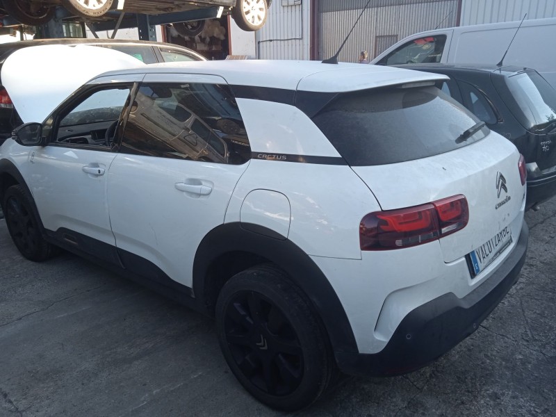 citroën c4 cactus del año 2019