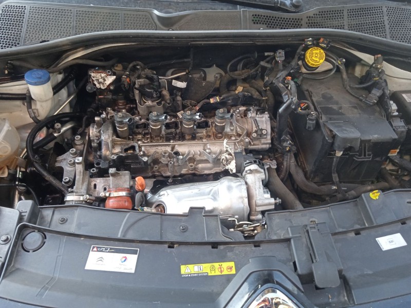 citroën c4 cactus del año 2019