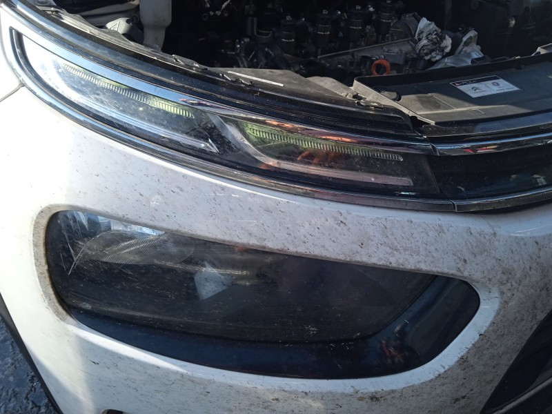 citroën c4 cactus del año 2019