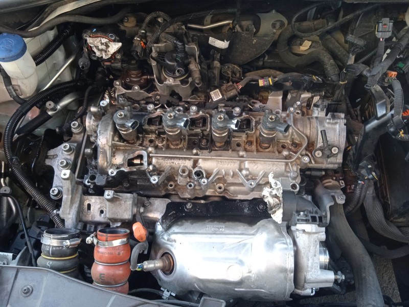 citroën c4 cactus del año 2019