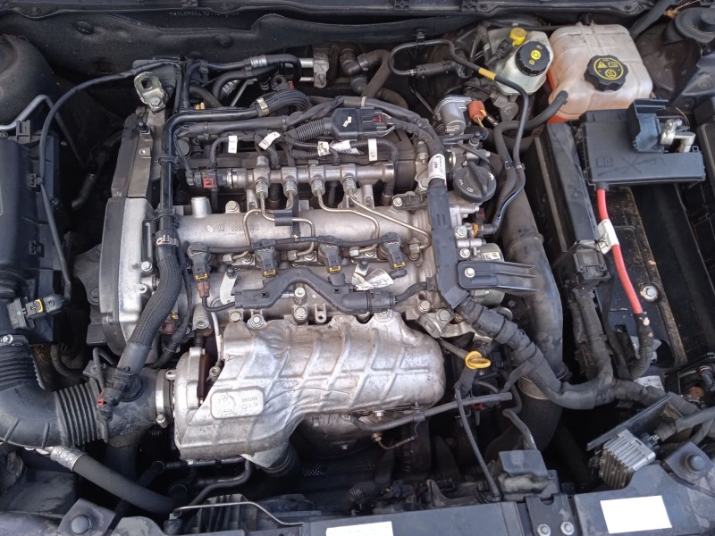 sym fiddle del año 2013