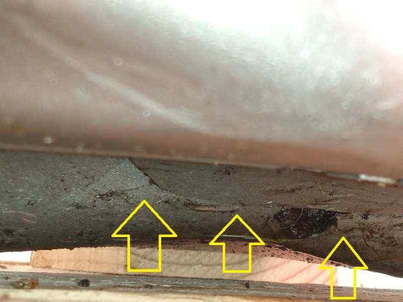 Recambio de motor completo para mini mini 5-trg. (f55) cooper s referencia OEM IAM B48A20F  