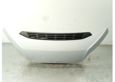 Recambio de capot para fiat ducato furgoneta (250_) 130 multijet 2,3 d referencia OEM IAM 1380670080  