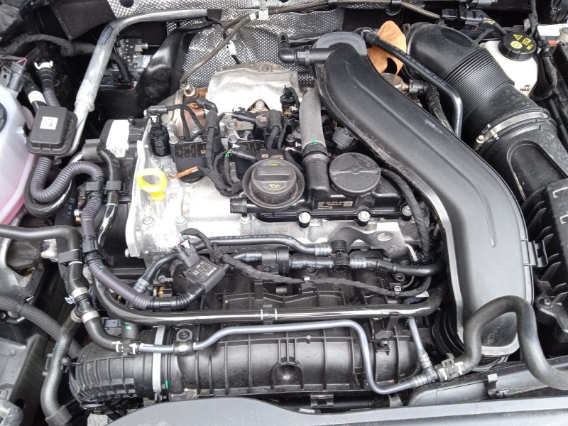 cupra leon (kl1, ku1, kug) del año 2024