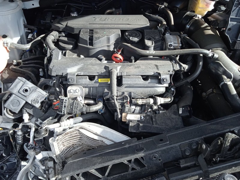 hyundai tucson (nx4e, nx4a) del año 2024