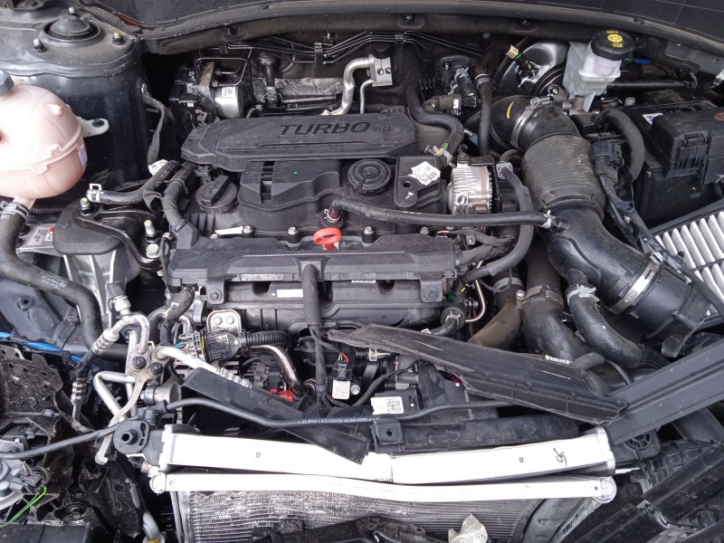 kia sportage v (nq5) del año 2024