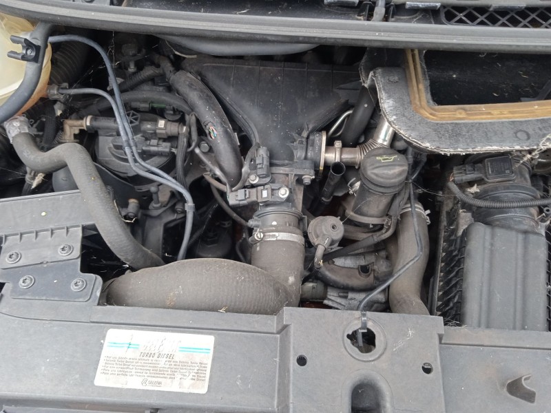 lancia phedra (179_) del año 2008