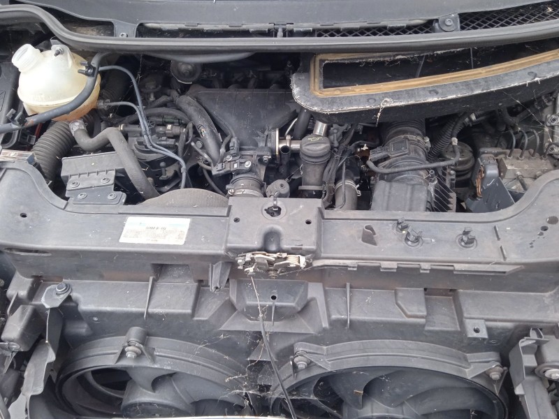 lancia phedra (179_) del año 2008