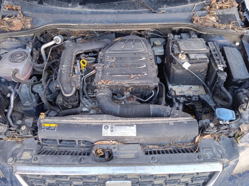 seat ibiza v (kj1, kjg) del año 2019