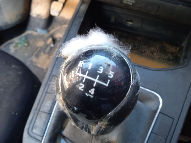 seat ibiza v (kj1, kjg) del año 2019