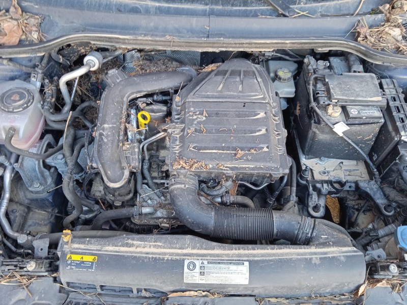 seat ibiza v (kj1, kjg) del año 2019