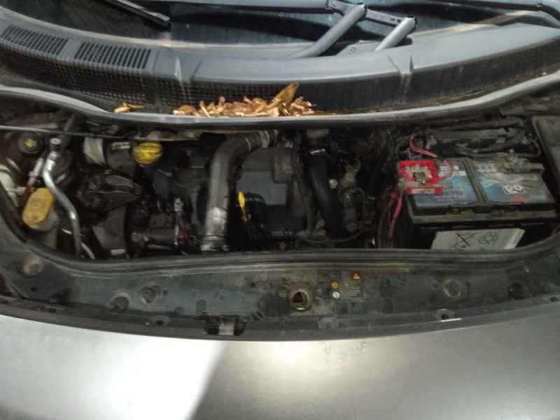 renault grand scénic ii (jm0/1_) del año 2009