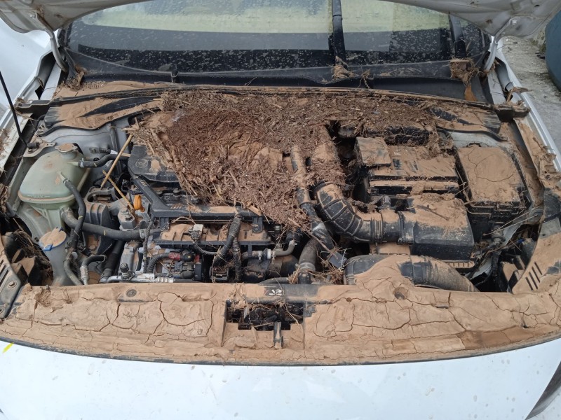 hyundai i30 (pde, pd, pden) del año 2021