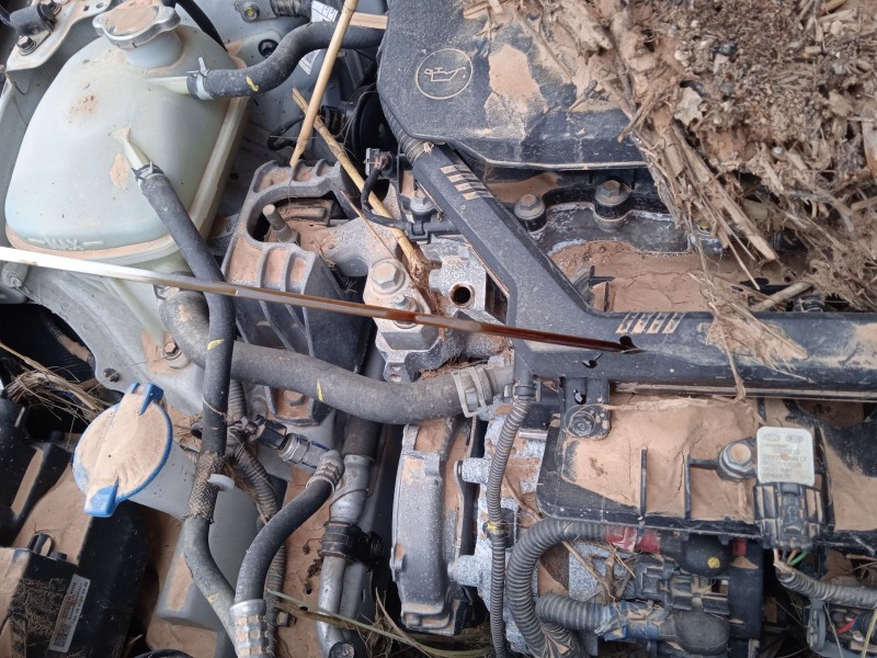 hyundai i30 (pde, pd, pden) del año 2021