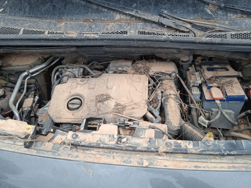 peugeot rifter del año 2019