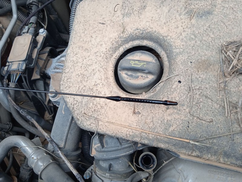 peugeot rifter del año 2019