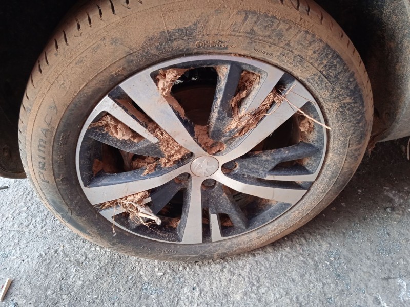 peugeot 3008 ii suv (mc_, mr_, mj_, m4_) del año 2019