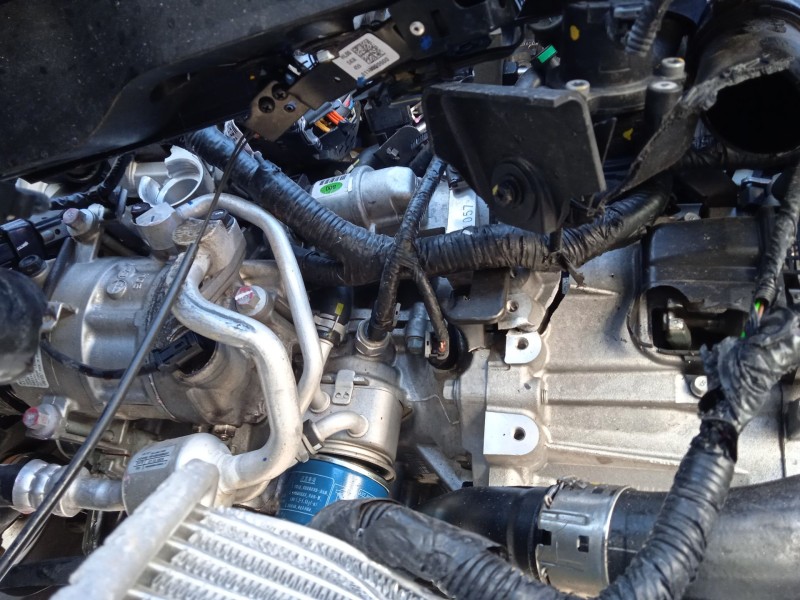 hyundai i20 iii (bc3, bi3) del año 2024