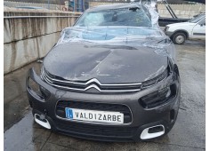 citroën c4 cactus del año 2019 2