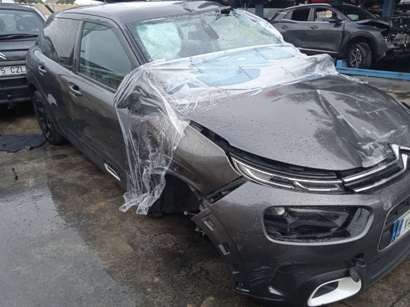 citroën c4 cactus del año 2019